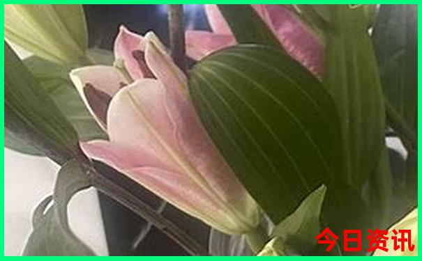 云南徒步十大必去景点